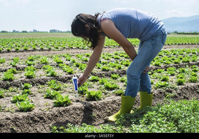 Plant care in agriculture Plant care in agriculture